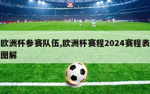 欧洲杯参赛队伍,欧洲杯赛程2024赛程表图解