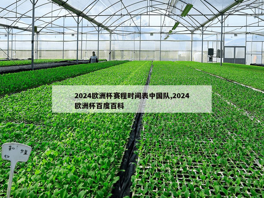 2024欧洲杯赛程时间表中国队,2024欧洲杯百度百科