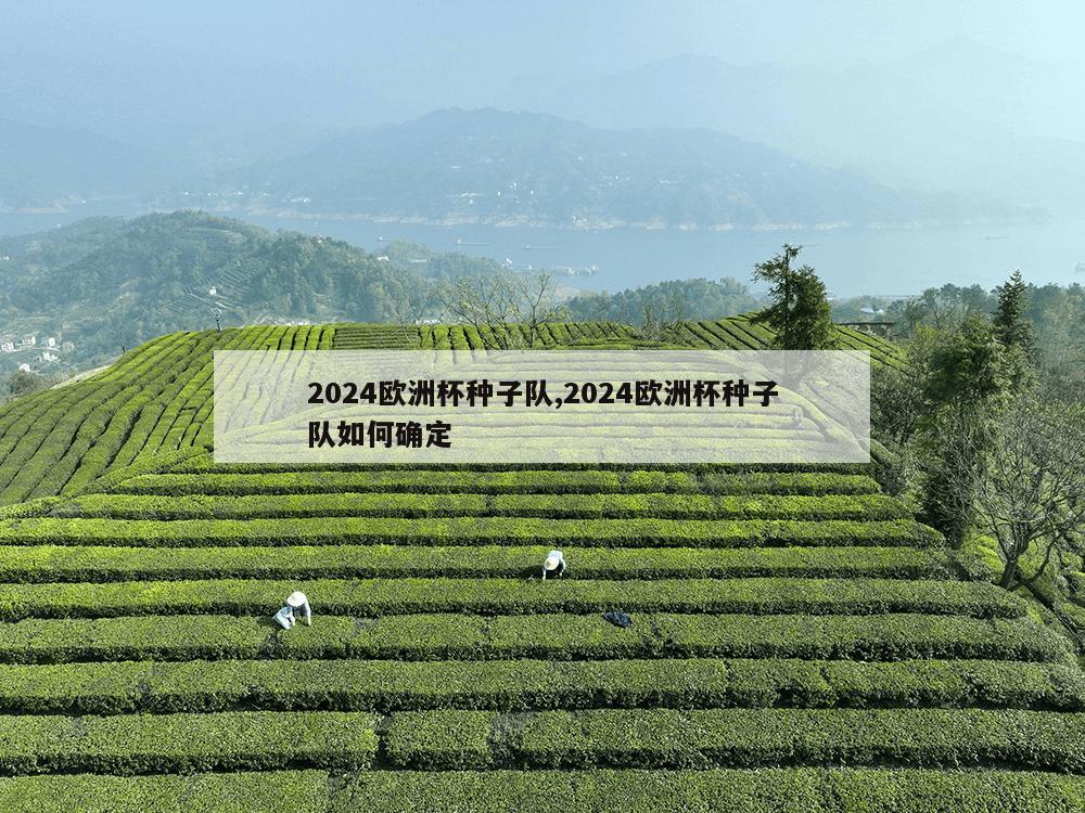 2024欧洲杯种子队,2024欧洲杯种子队如何确定