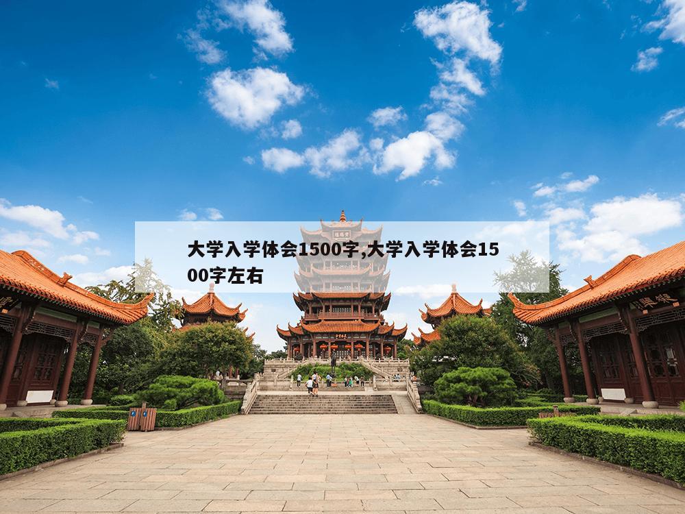 大学入学体会1500字,大学入学体会1500字左右