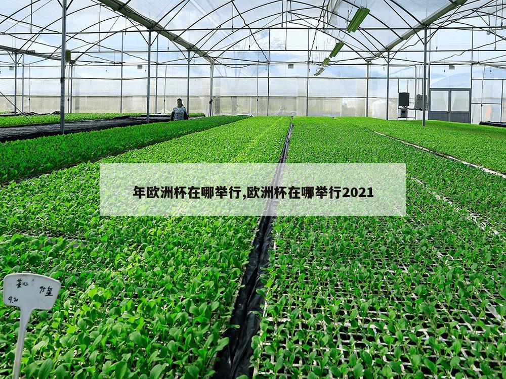 年欧洲杯在哪举行,欧洲杯在哪举行2021