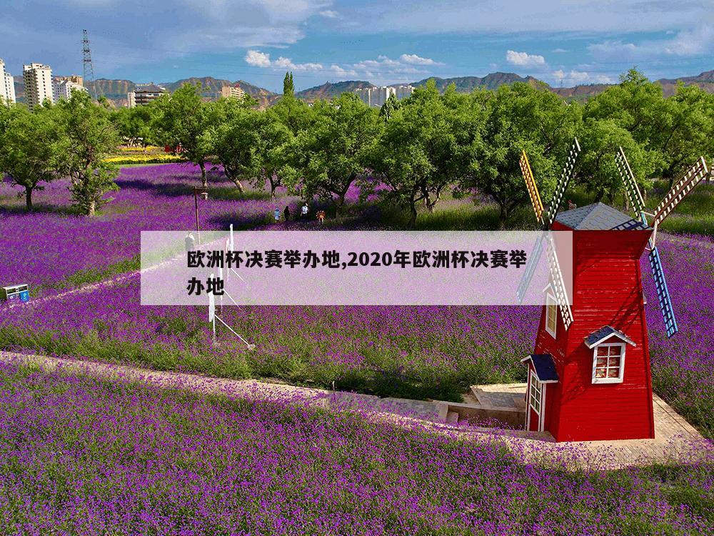 欧洲杯决赛举办地,2020年欧洲杯决赛举办地