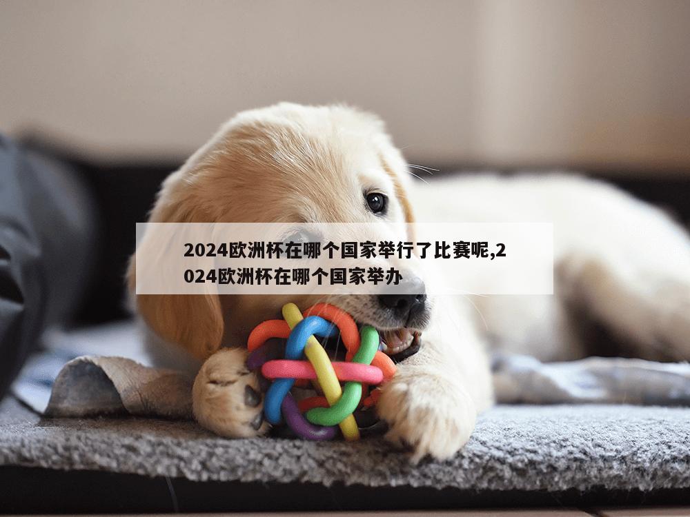 2024欧洲杯在哪个国家举行了比赛呢,2024欧洲杯在哪个国家举办