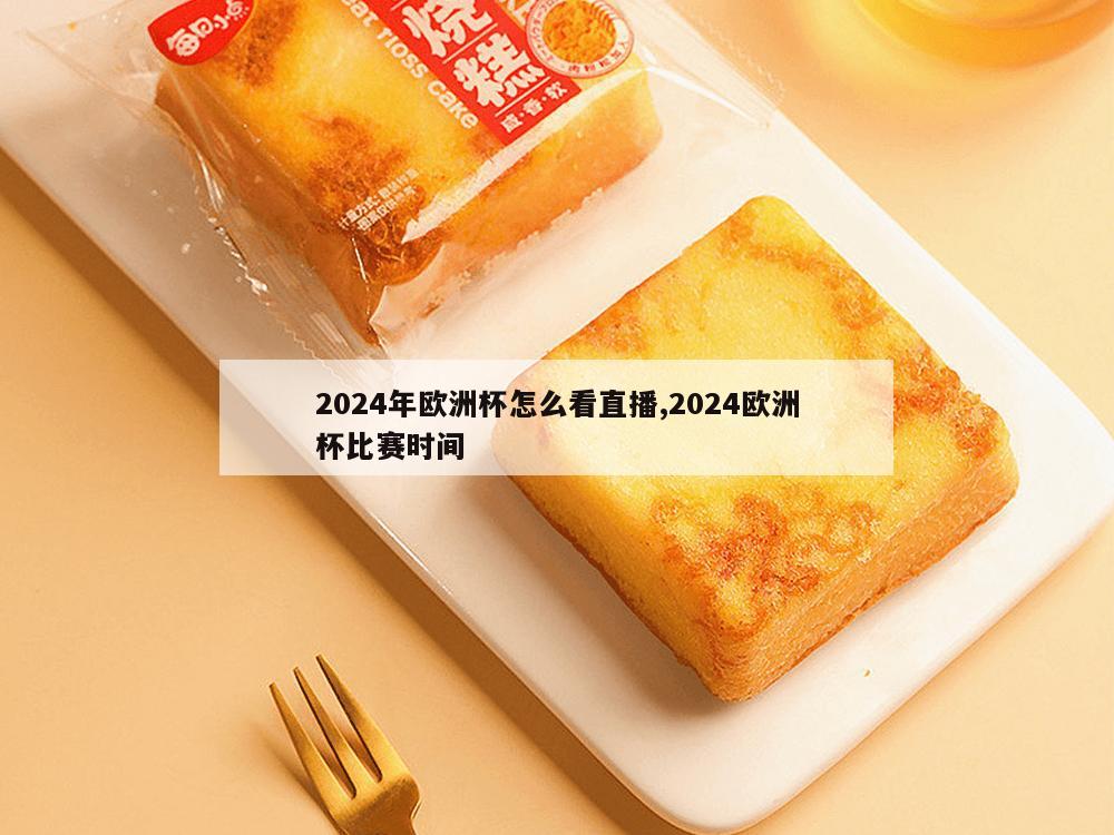 2024年欧洲杯怎么看直播,2024欧洲杯比赛时间