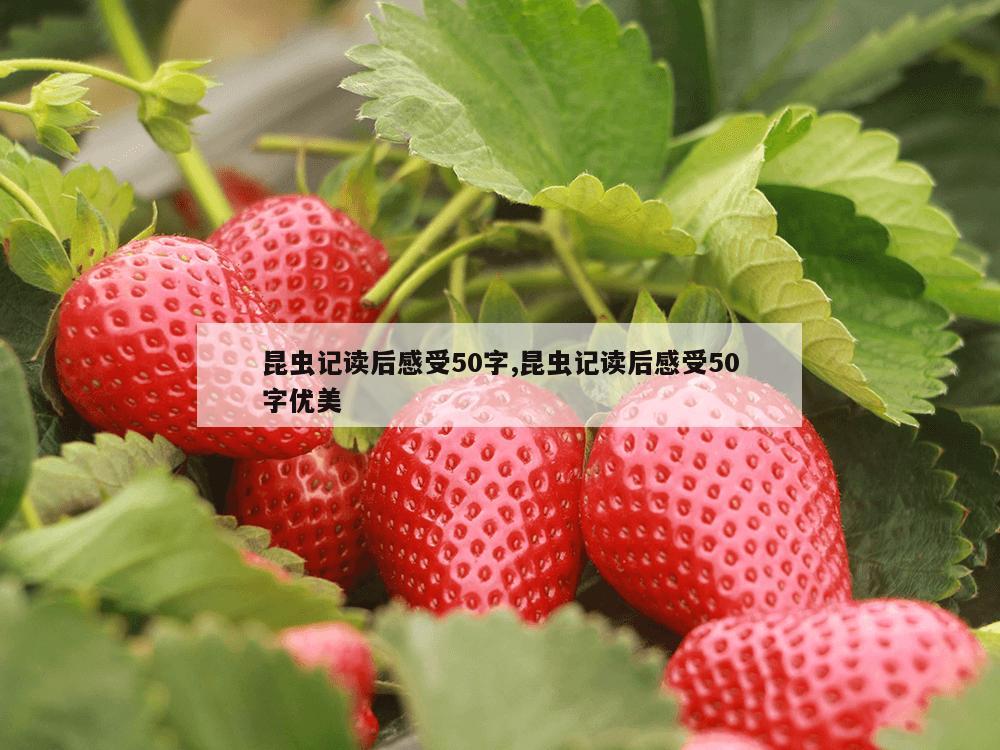 昆虫记读后感受50字,昆虫记读后感受50字优美