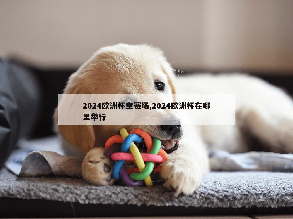 2024欧洲杯主赛场,2024欧洲杯在哪里举行