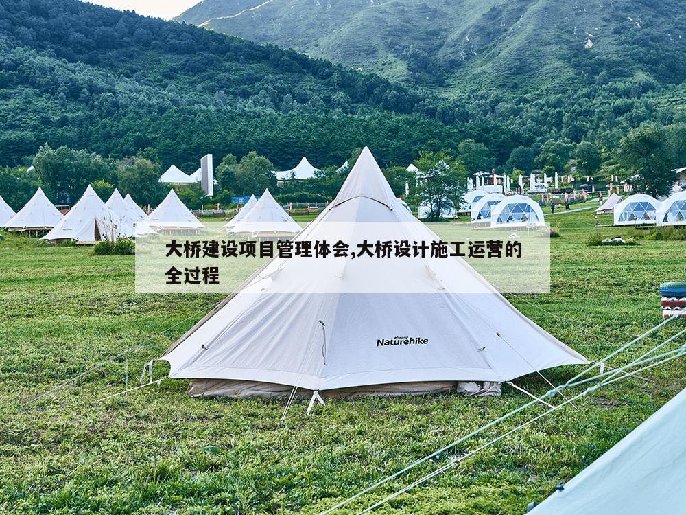 大桥建设项目管理体会,大桥设计施工运营的全过程