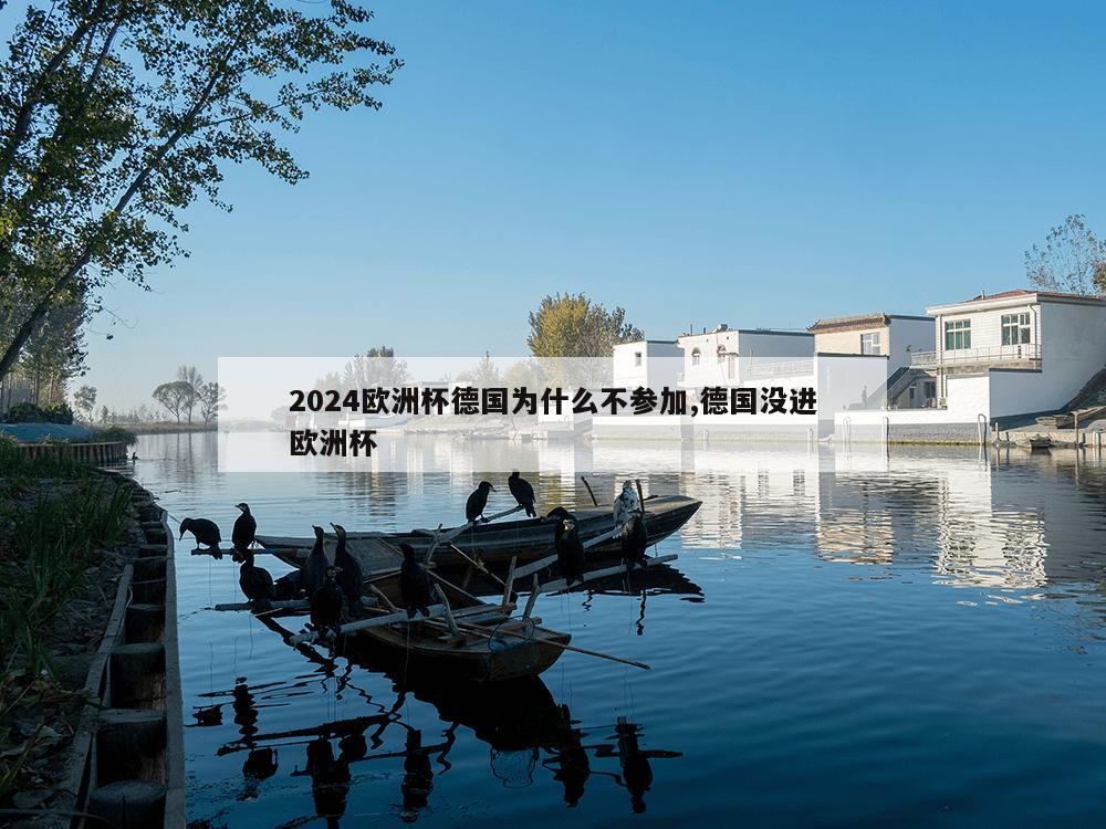 2024欧洲杯德国为什么不参加,德国没进欧洲杯